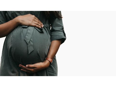 Пренатальные витамины и свинец: безопасность с Thorne Basic Prenatal