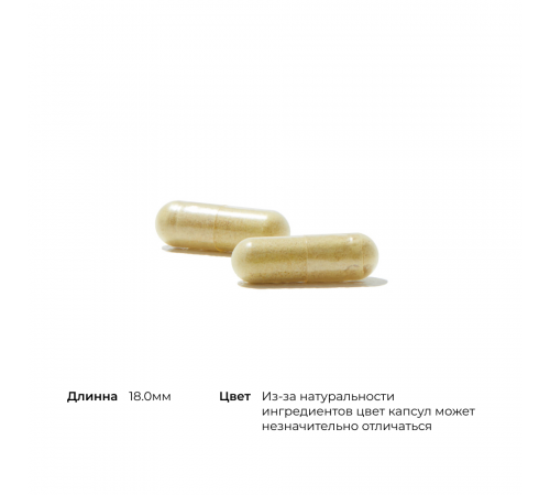 Кора Надпочечников, Adrenal Cortex, Thorne Research, 60 капсул Кора Надпочечников, Adrenal Cortex, Thorne Research, 60 капсул