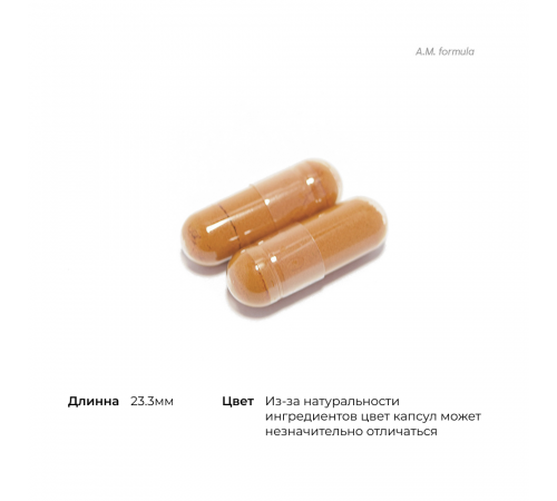 Комплекс витаминов и минералов, MULTI-VITAMIN ELITE, Thorne Research, NSF Certified for Sport, 2 упаковки по 90 капсул Комплекс витаминов и минералов, MULTI-VITAMIN ELITE, Thorne Research, NSF Certified for Sport, 2 упаковки по 90 капсул