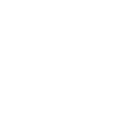 1 цель