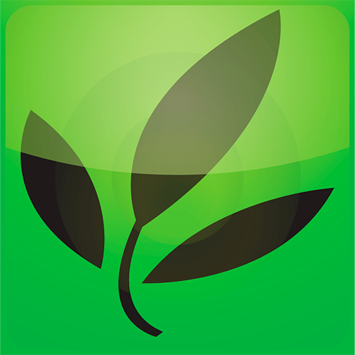 KIWI-Laurel доступен для скачивания в Google Play